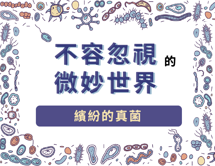 不容忽視的微妙世界～繽紛的真菌(2023秋季班)