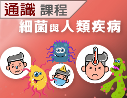 細菌與人類疾病(通識教育學分班)